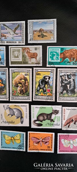 Mongolia panda, wild animals stamps pack sealed 6.
