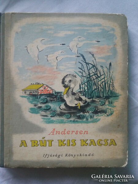 Andersen is the ugly duckling.