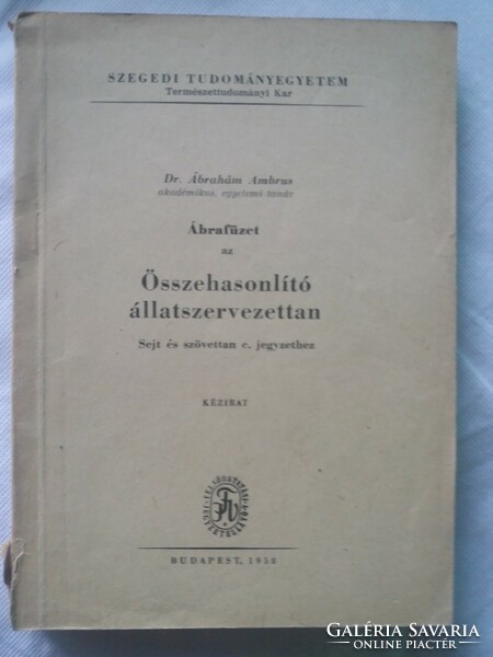 Manuscript! Dr Ábrahám Ambrus.