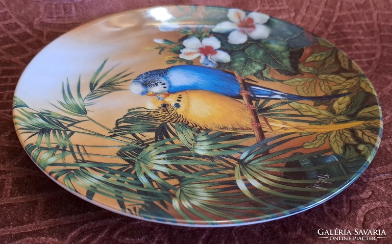 Wavy parrot porcelain decorative plate, rare bird wall plate 2 (l4629)