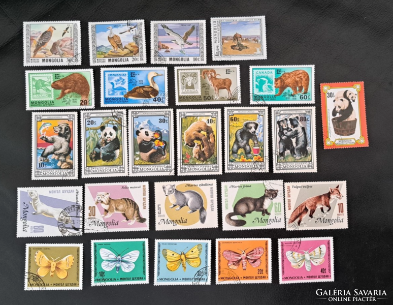 Mongólia panda, vadállatok bélyegek csomag pecsételt 6.