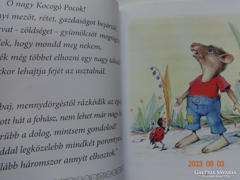 Boros Ferenc Pocok kaland - mesekönyv Hangya János rajzaival