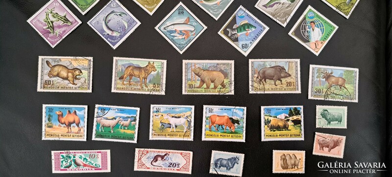 Mongolia fish, wild animals stamp pack sealed 10.