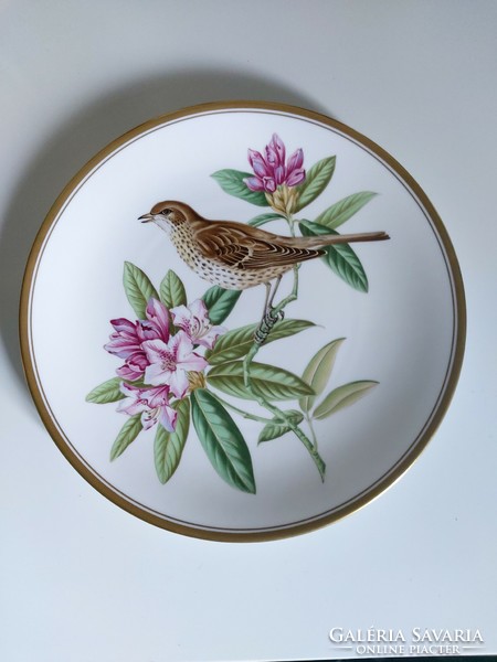 Csodaszép, kézzel festett madaras porcelán Spode fali dísztányér