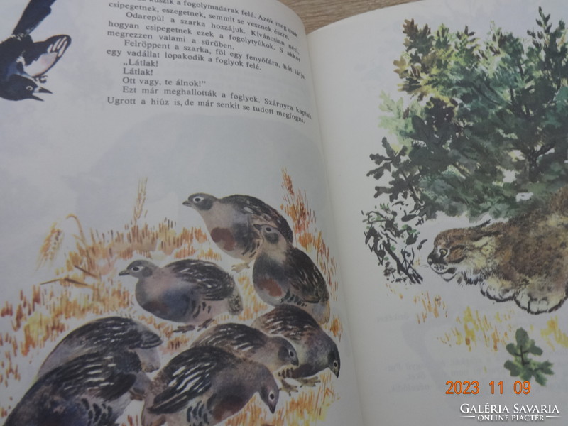 Yevgeny Tsharusin: Naughty Baby Animals - Animal Tales (1983)