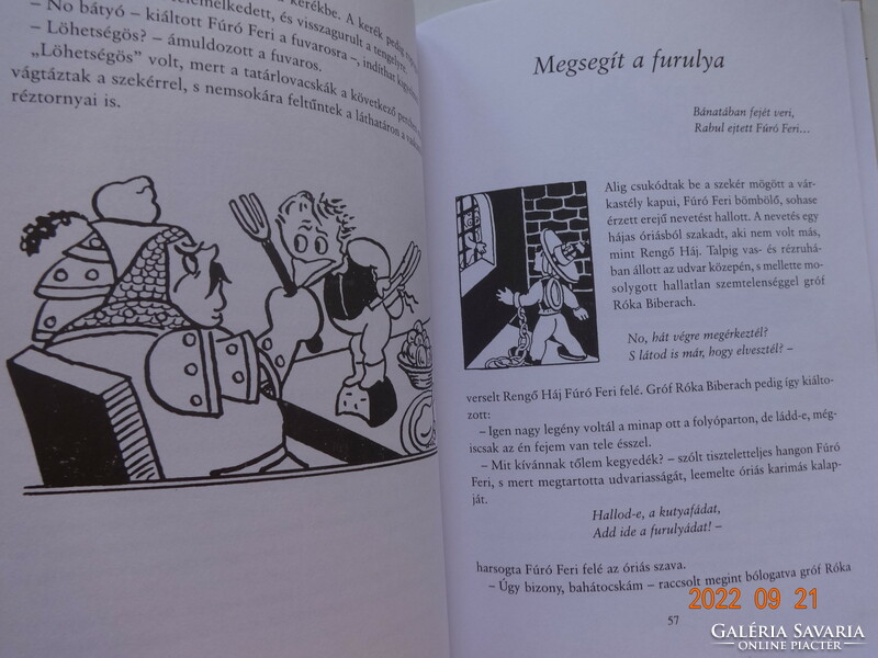 József Babay's feri flute - with drawings by Róna Emy - classics for young people series