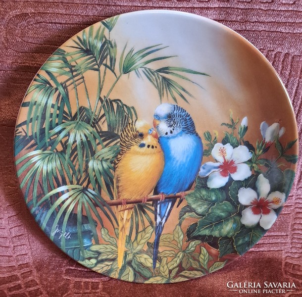 Wavy parrot porcelain decorative plate, rare bird wall plate 2 (l4629)