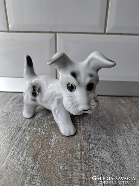 Porcelán kutya
