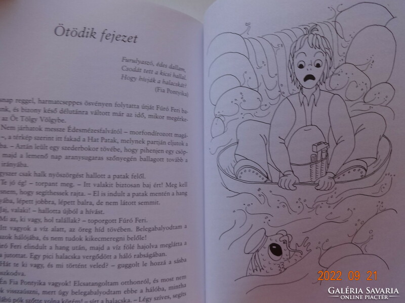 József Babay's feri flute - with drawings by Róna Emy - classics for young people series