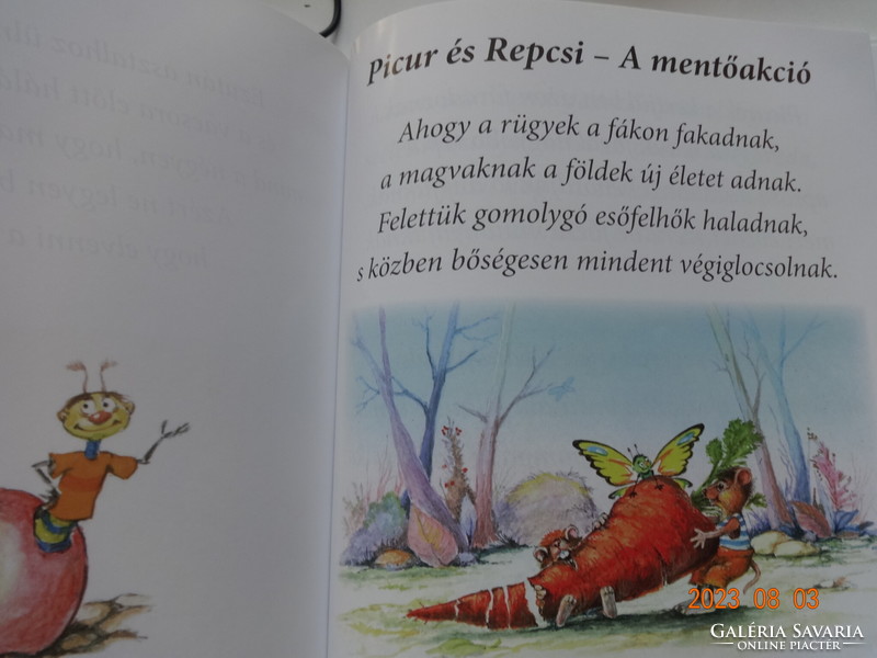 Boros Ferenc Pocok kaland - mesekönyv Hangya János rajzaival