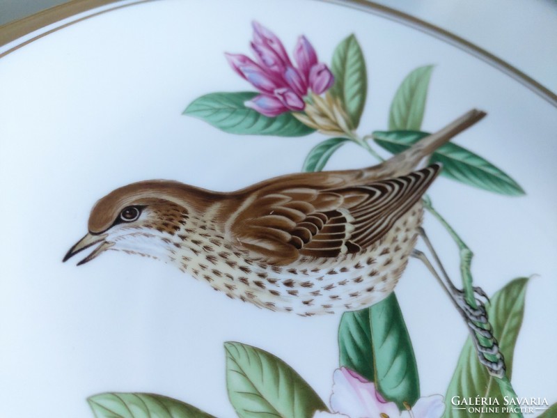 Beautiful, hand-painted porcelain spode wall plate with birds