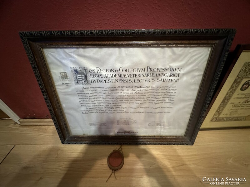 Original old veterinary diploma for sale in extra frame! Price: 35,000.-