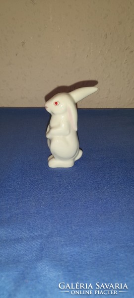A rare collector's quarry rabbit (drasche) is a member of the umbrella rabbit team. Based on pictures