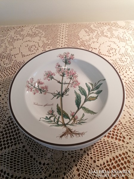 Villeroy and boch botanica valeriana officinalis deep plate 22 cm reserved for Terezbacsi user