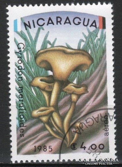 Nicaragua 0202  Mi  2565         0,40 Euró