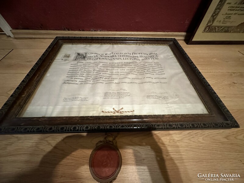 Original old veterinary diploma for sale in extra frame! Price: 35,000.-