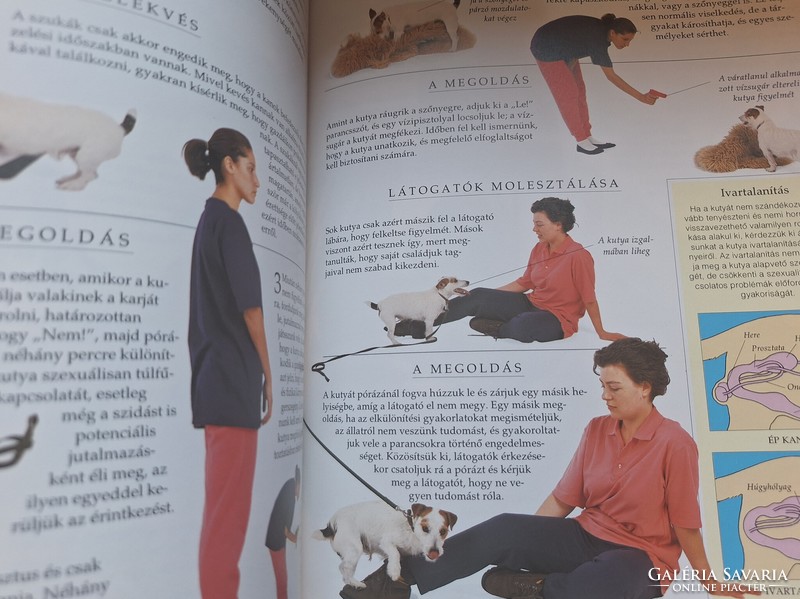 The Big Handbook of Dog Training. HUF 6,500