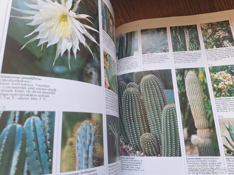 Ornamental plant encyclopedia. HUF 9,900