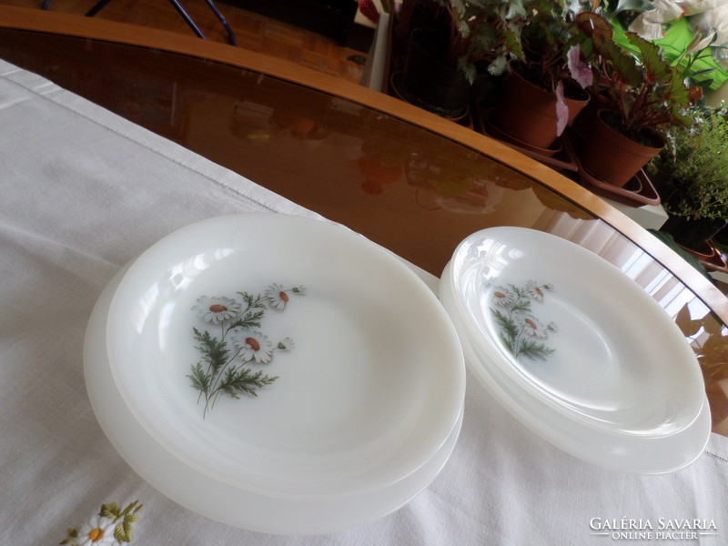 Chamomile-patterned two-person flat/deep plates from Jena, with a milk glass face to make up for the gap.