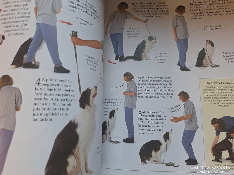 The Big Handbook of Dog Training. HUF 6,500