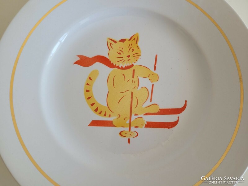 Old granite children's plate with cat pattern, flat plate with skiing cat pattern