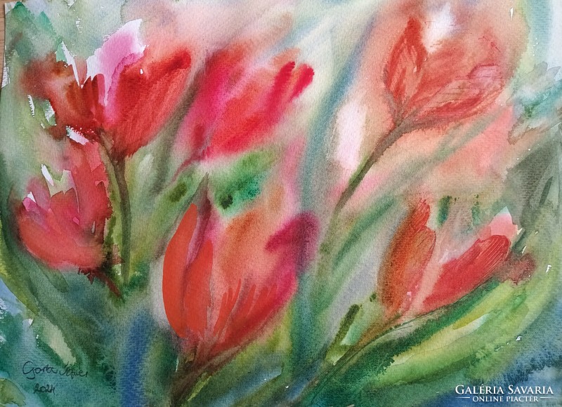 Ágnes Görbe: tulip blossoming, watercolor 29x42 cm