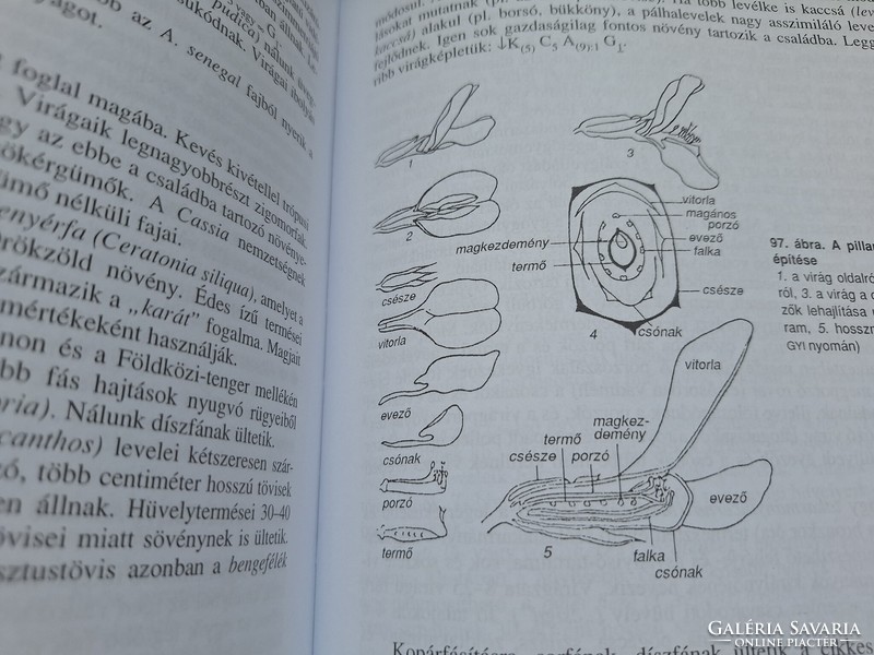 Agricultural botany. HUF 6,500