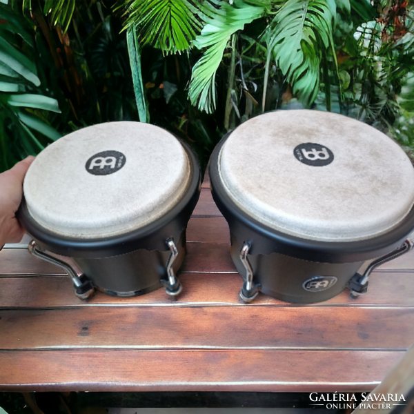 Brand new bongo for sale