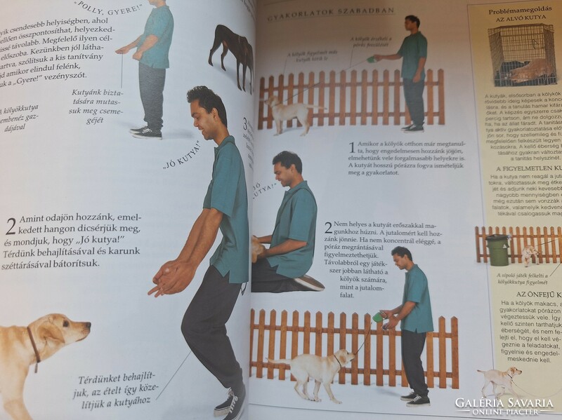 The Big Handbook of Dog Training. HUF 6,500