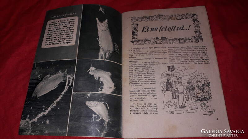 1958. / 15. szám TÁBORTŰZ az Úttörők Szövetségének képes folyóirata újság GYŰJTŐI a képek szerint