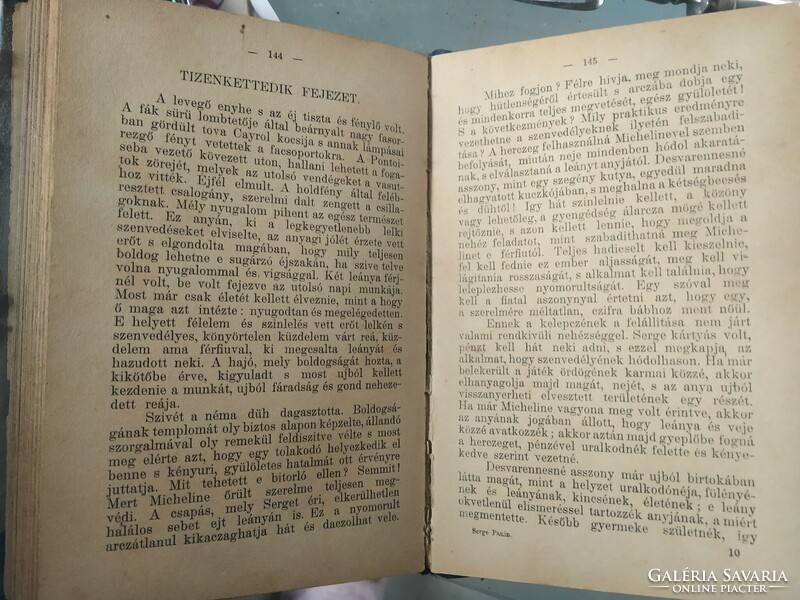 Georges Ohnet : Serge Panin 1891 (magyarul)