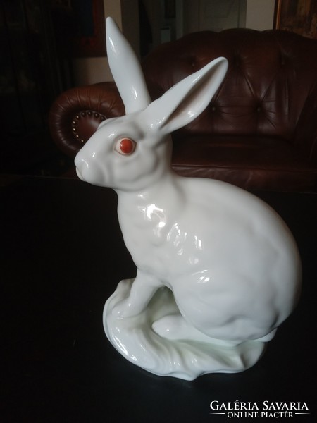 A large Angora rabbit! / M:30cm/