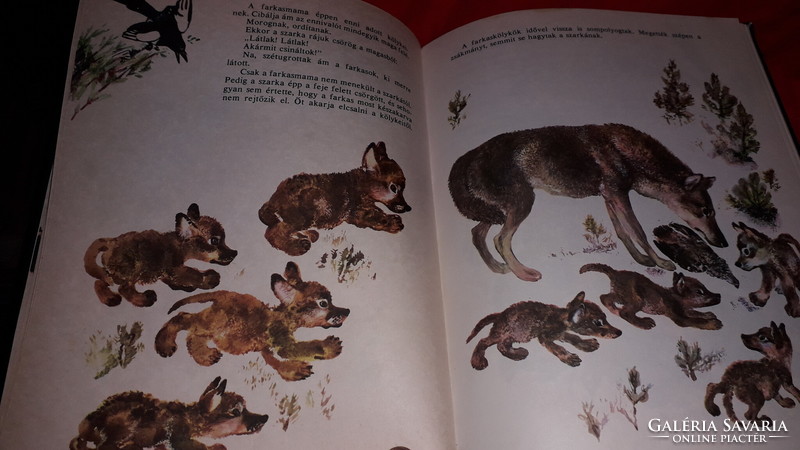 1983.Jevgenyij Csarusin :Csintalan állatkölykök képes mese könyv a képek szerint RADUGA MOSZKVA