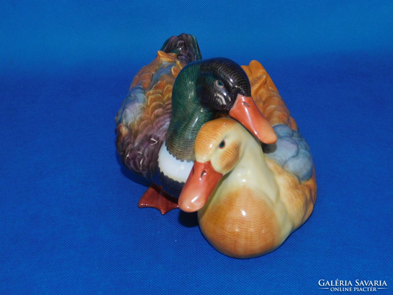 A pair of middle-sized ducks from Herend is rare !!!!!