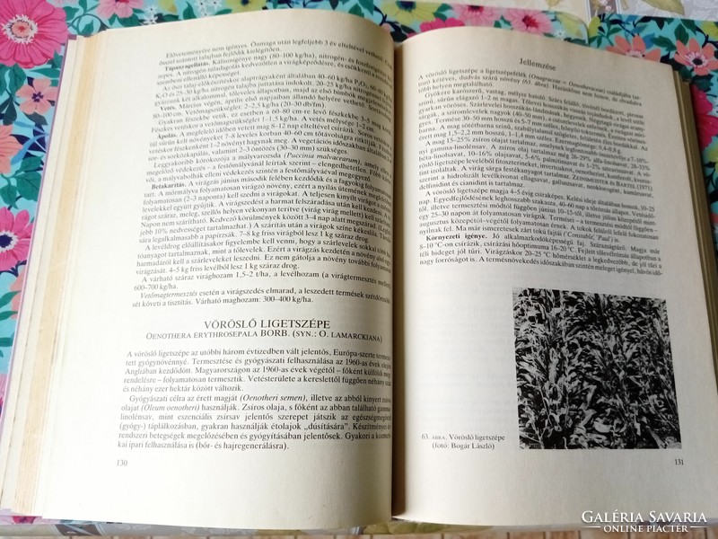 The book László Dr Hornok: cultivation and processing of medicinal plants is for sale.