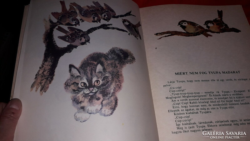 1983. Yevgeny Tsharusin: mischievous animal cubs picture book according to the pictures Raduga Moscow
