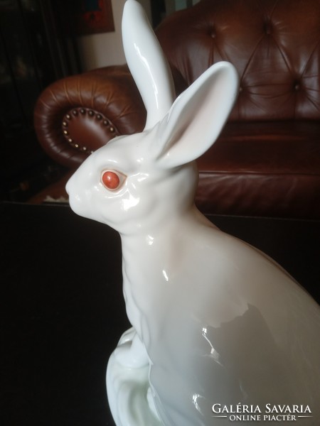 A large Angora rabbit! / M:30cm/