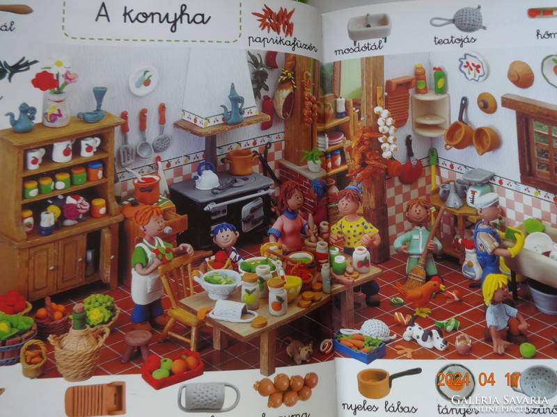 My first words - rural life - picture dictionary with more than 350 words - with drawings by Manuela Martin
