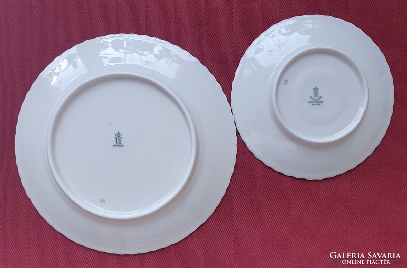 Winterling marktleuthen bavaria German porcelain breakfast plate pair saucer small plate plate