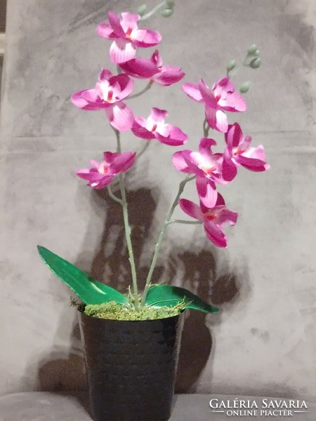 Anyáknapi orchidea