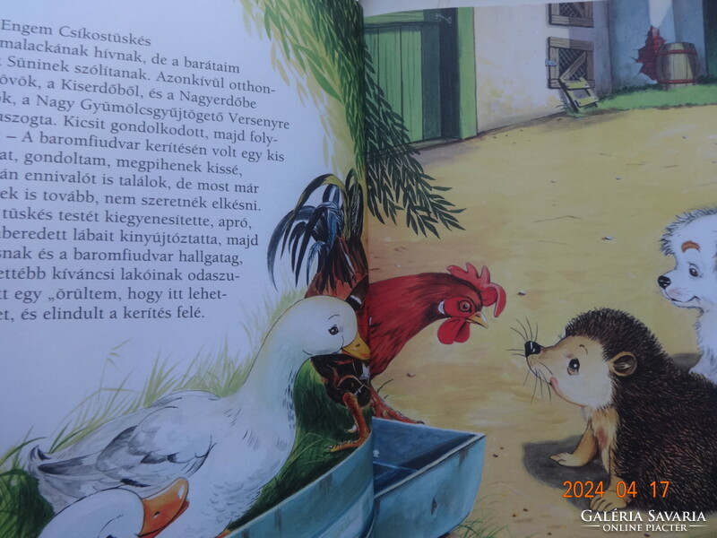 Csaba Feketű: his disheveled adventures - a storybook with illustrations by a clever dawn