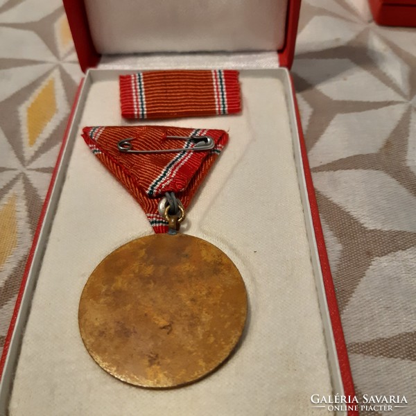 Medal for armed service to the homeland, 15 years old, in perfect condition with ribbon in its box