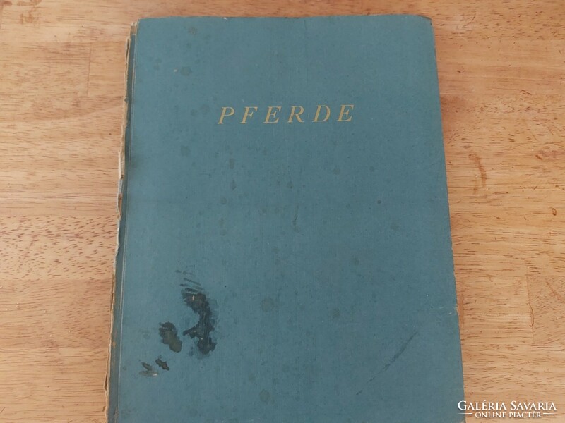 Pferde German riding book ii. Vh