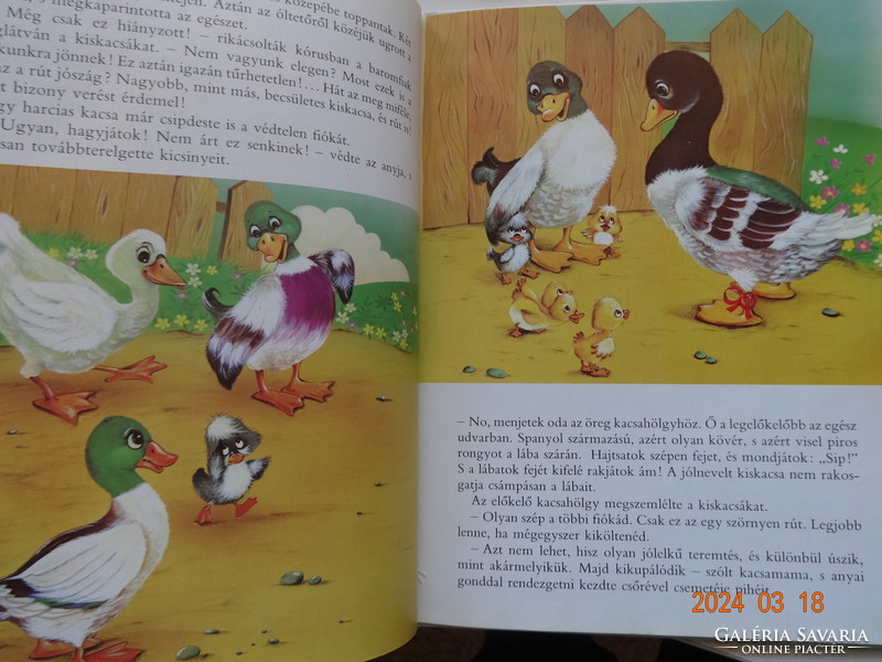 Andersen: the ugly duckling - storybook with drawings by Kennedy