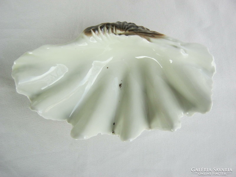 Bowl of raven house porcelain shells