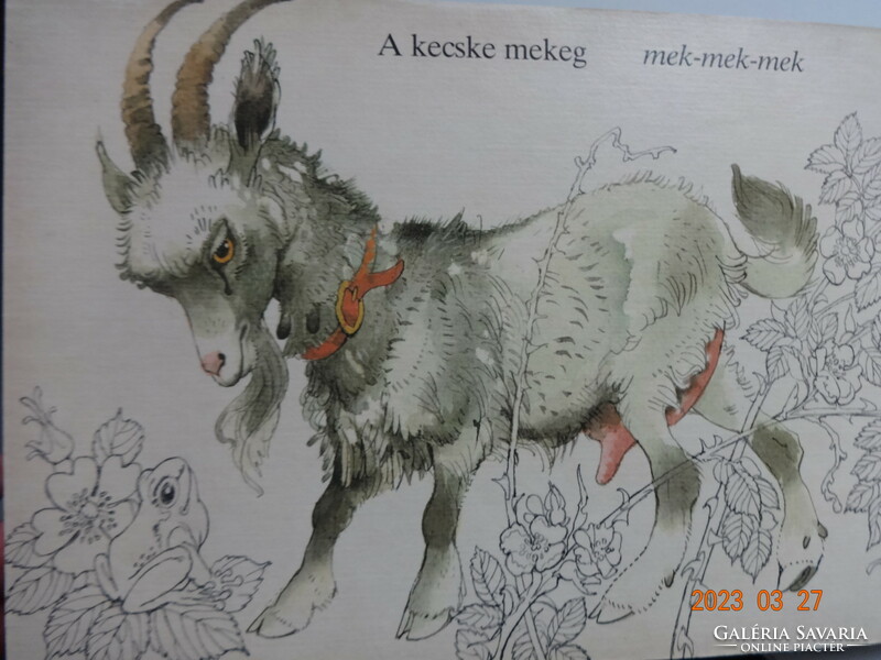 What do the animals say? - Hardcover old storybook with drawings by Vladimir Machaj (1973)