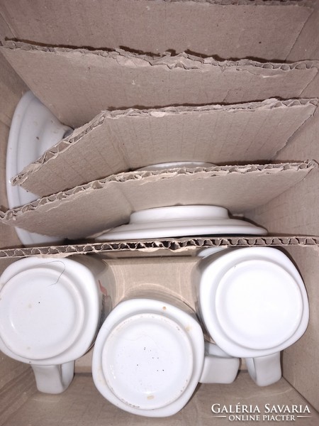Set of six - press coffee cups.