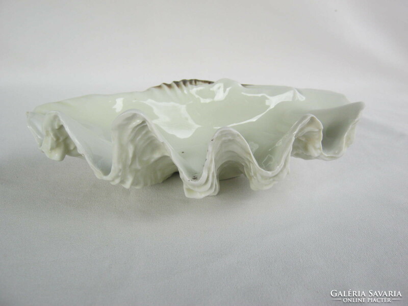 Bowl of raven house porcelain shells