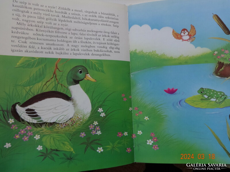 Andersen: the ugly duckling - storybook with drawings by Kennedy