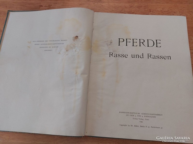 Pferde német lovaskönyv II. VH